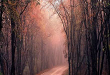 开云体育APP下载-黑红风暴骤停！斯图加特主场三连跪，王朝拼图裂痕乍现