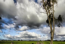 开云下载-曼联中场大将伤愈复出，战西雅图海湾者阵容稳固