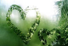 开云下载-塞维利亚主场胜利，欧战资格前途光明