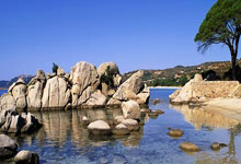 开云体育平台APP-中场双核重燃圣塞瓦斯蒂安！梅里诺+祖比门迪归来，皇家社会士气如虹剑指欧战