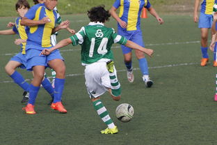 开云体育下载-帕尔梅拉斯主场优势明显，球迷期待逆转奇迹