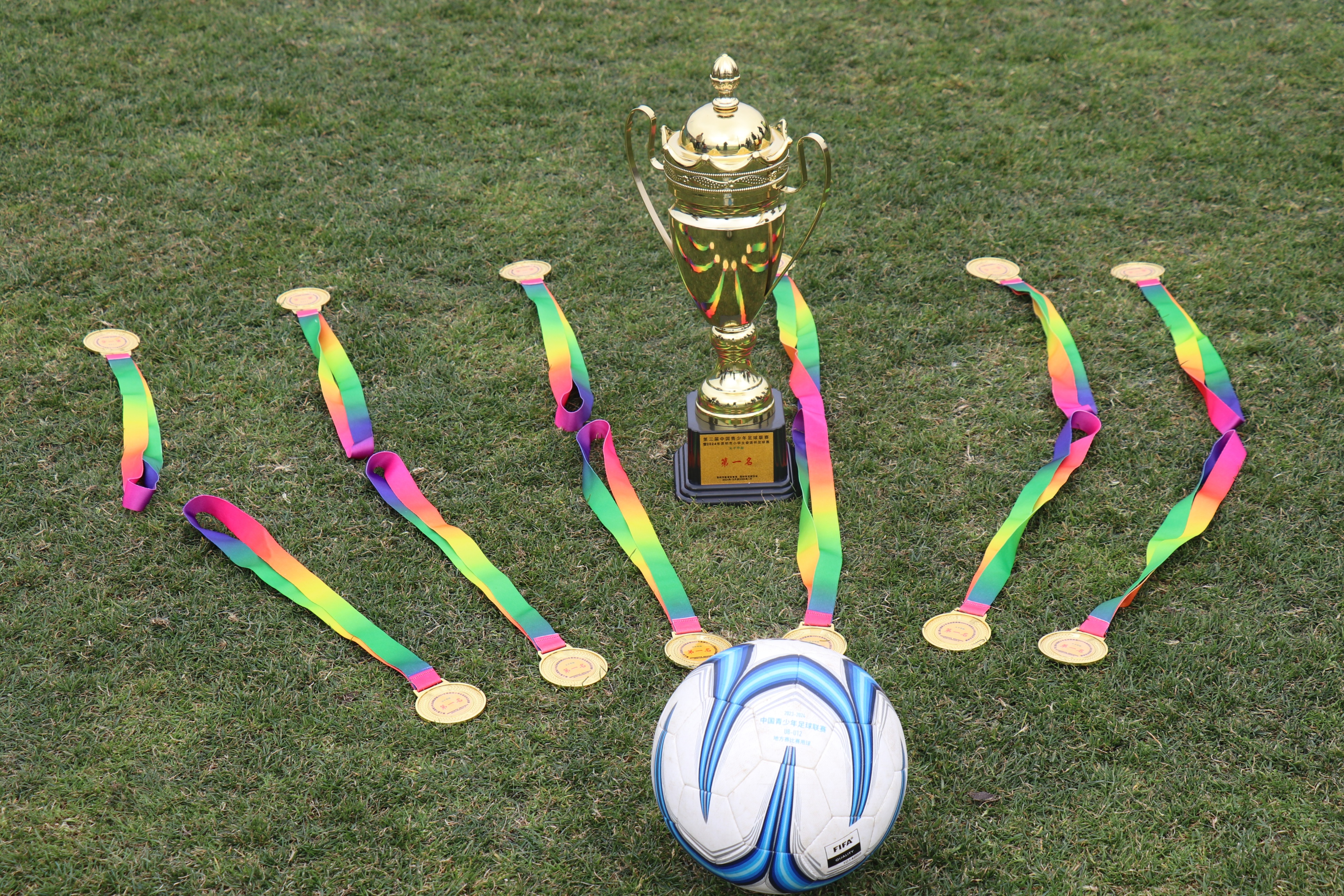 关于中国足球队致力于摘取国际赛冠军桂冠的信息