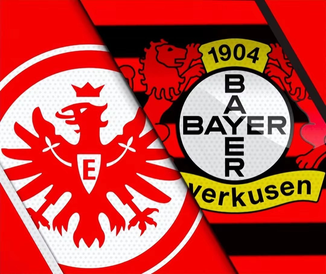 开云体育app-弗兰克福胜利颇多，德甲前三成为目标的简单介绍