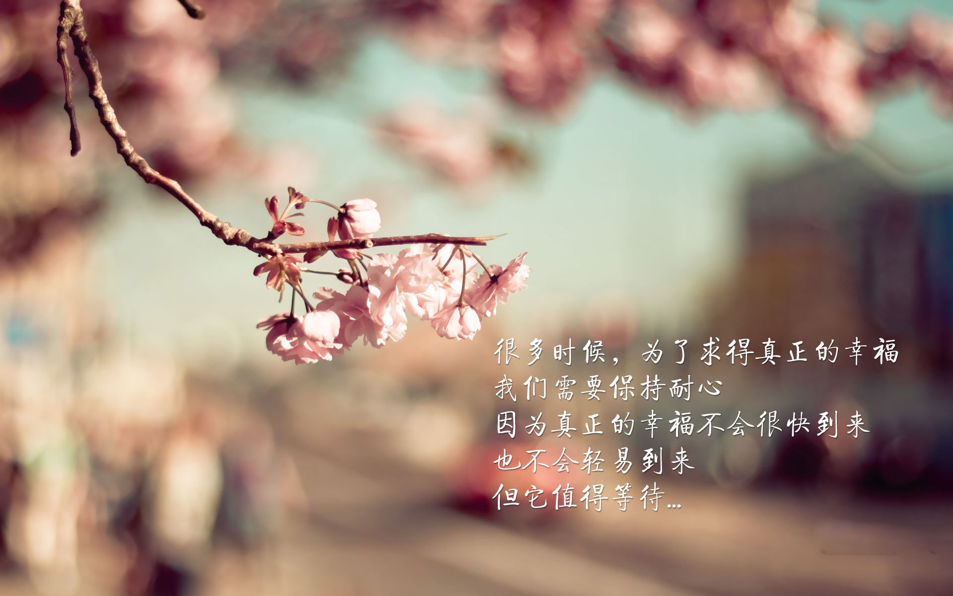 完美拉文撕裂高原神话,76人爆冷背后是团队的胜利