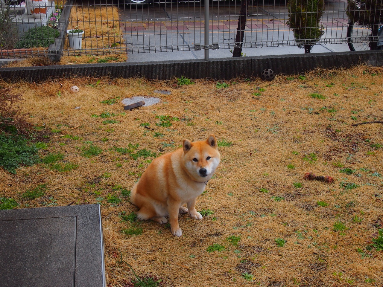 开云体育官网-雷恩战爱尔兰，格纳布里如何成为攻防转换的节拍器