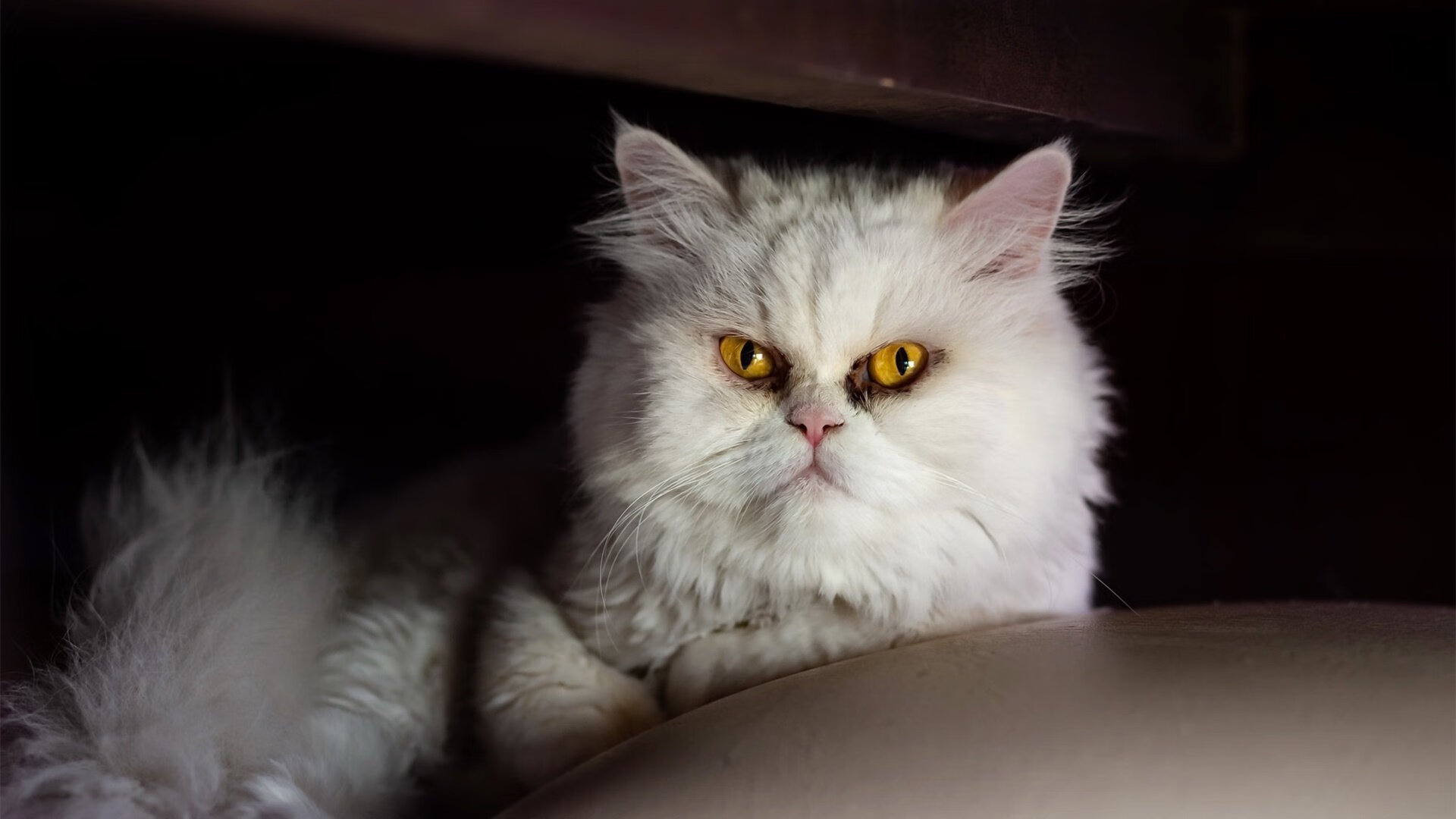 钢铁洪流与一道奇迹闪光,萨拉赫如何刺穿西班牙的完美压制