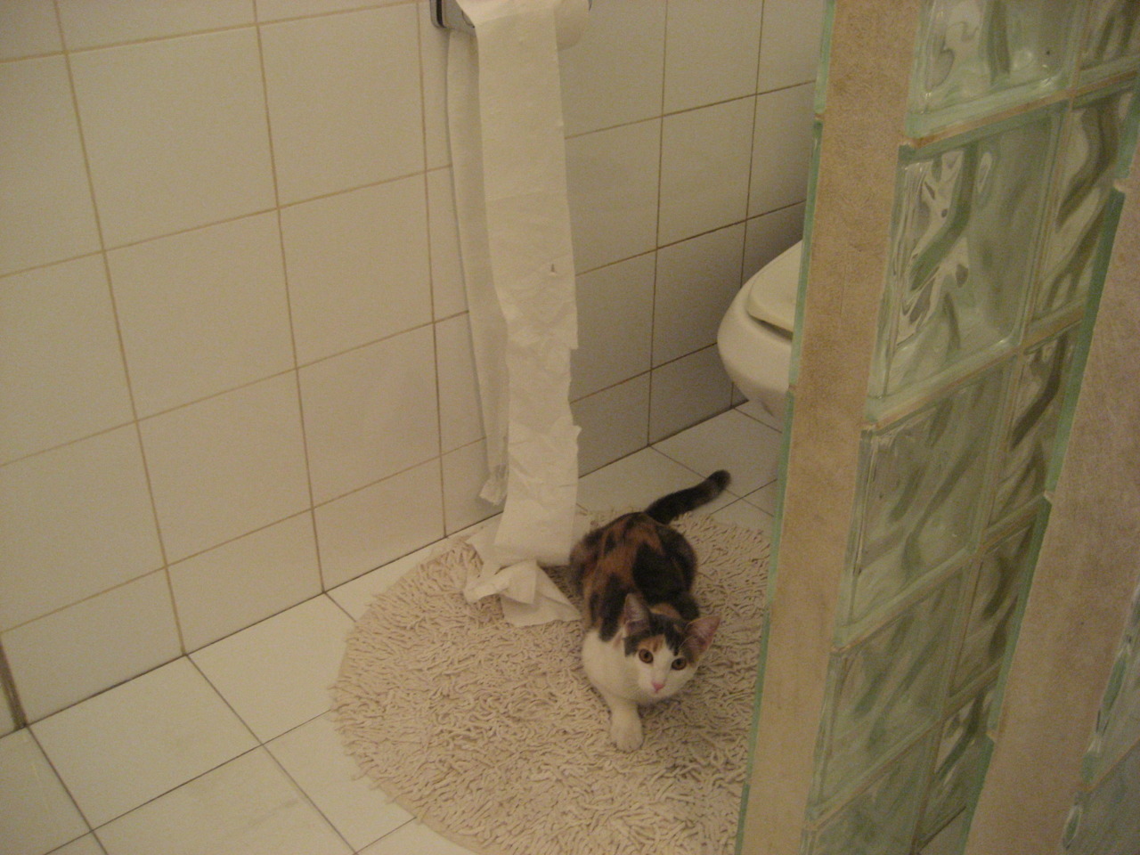 绝杀荷兰！蒂亚戈终场救主，蓝军上演史诗逆转