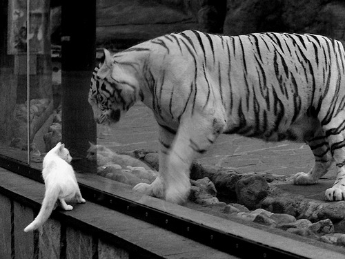 开云体育app-尼斯力克丹麦劲旅,金玟哉关键先生闪耀全场