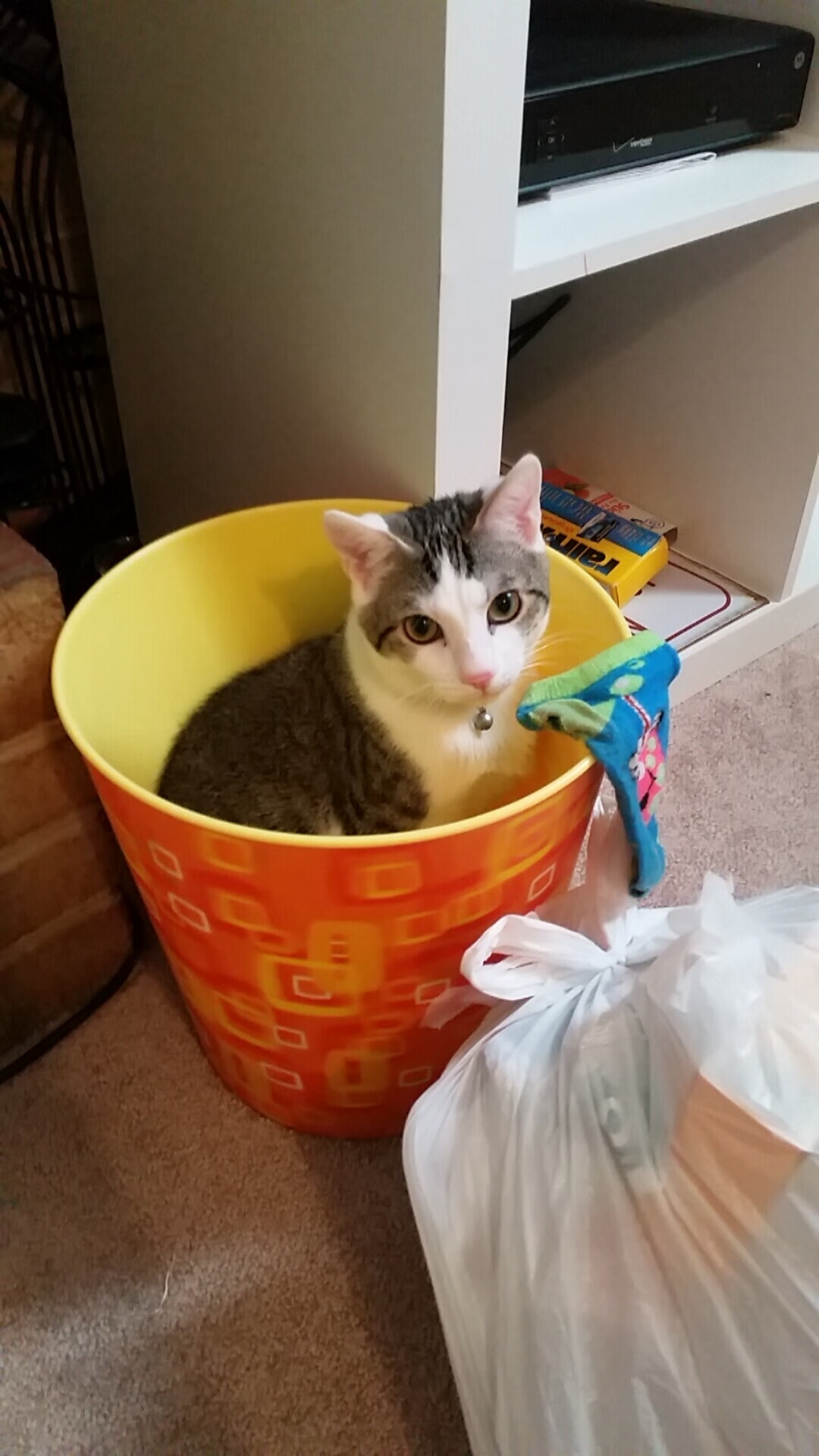 天蓝哀歌！紫百合风暴席卷伊蒂哈德，恩佐里程碑之夜佛罗伦萨一波带走曼城