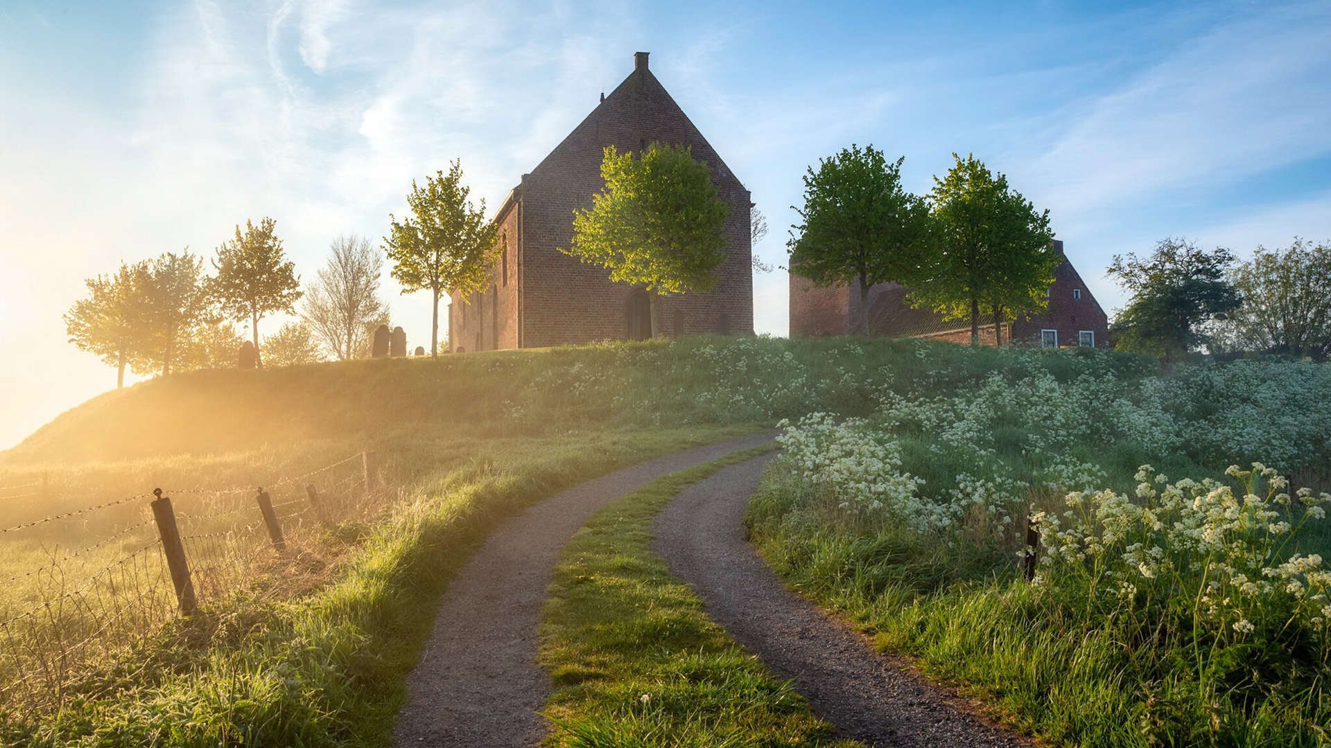 2026世界杯焦点战，灰熊战术完美压制黄蜂攻势