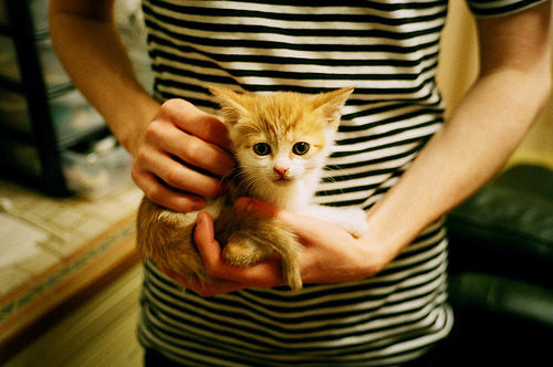 新星闪耀与铁血碾压,当班凯罗的关键先生光环映照76人的冷酷决胜局