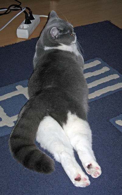 新星闪耀与铁血碾压,当班凯罗的关键先生光环映照76人的冷酷决胜局