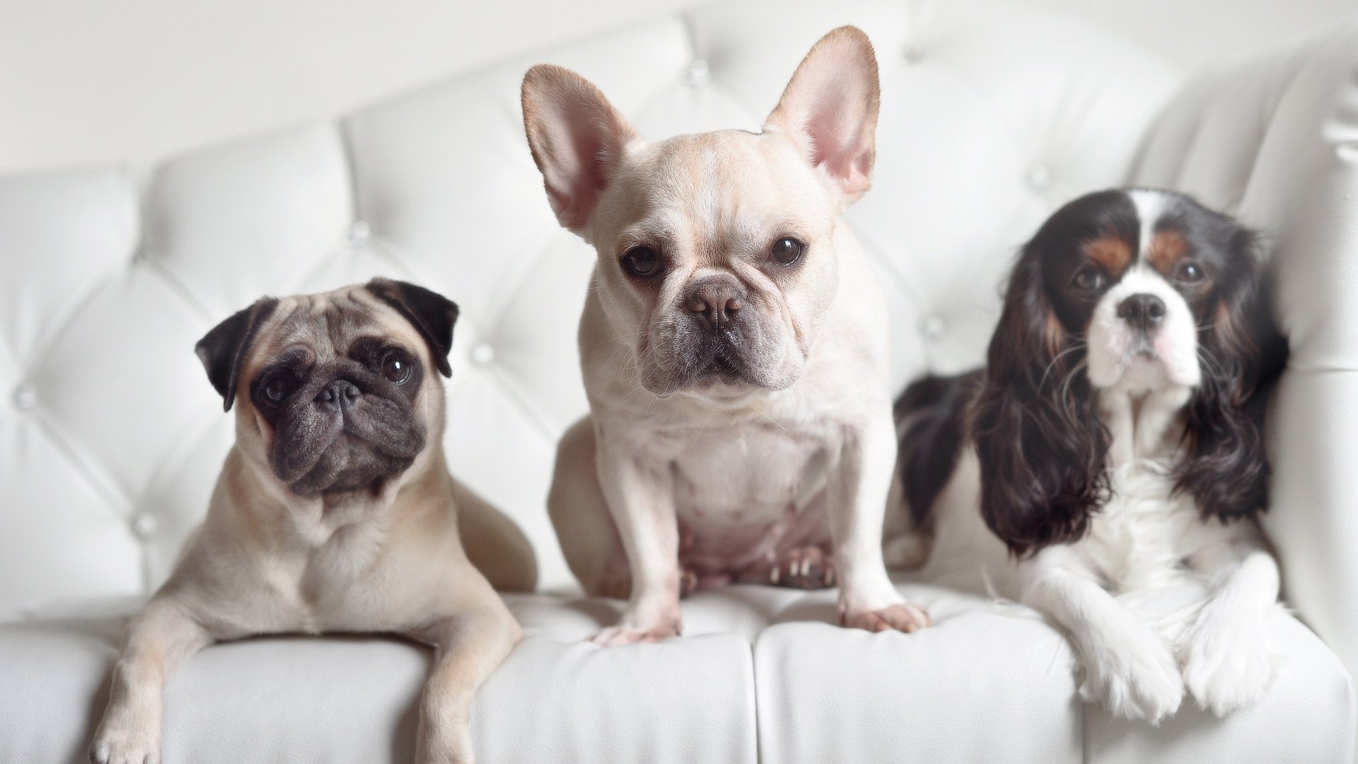 极速与坚韧,当F1冠军战遇见篮球打穿哲学