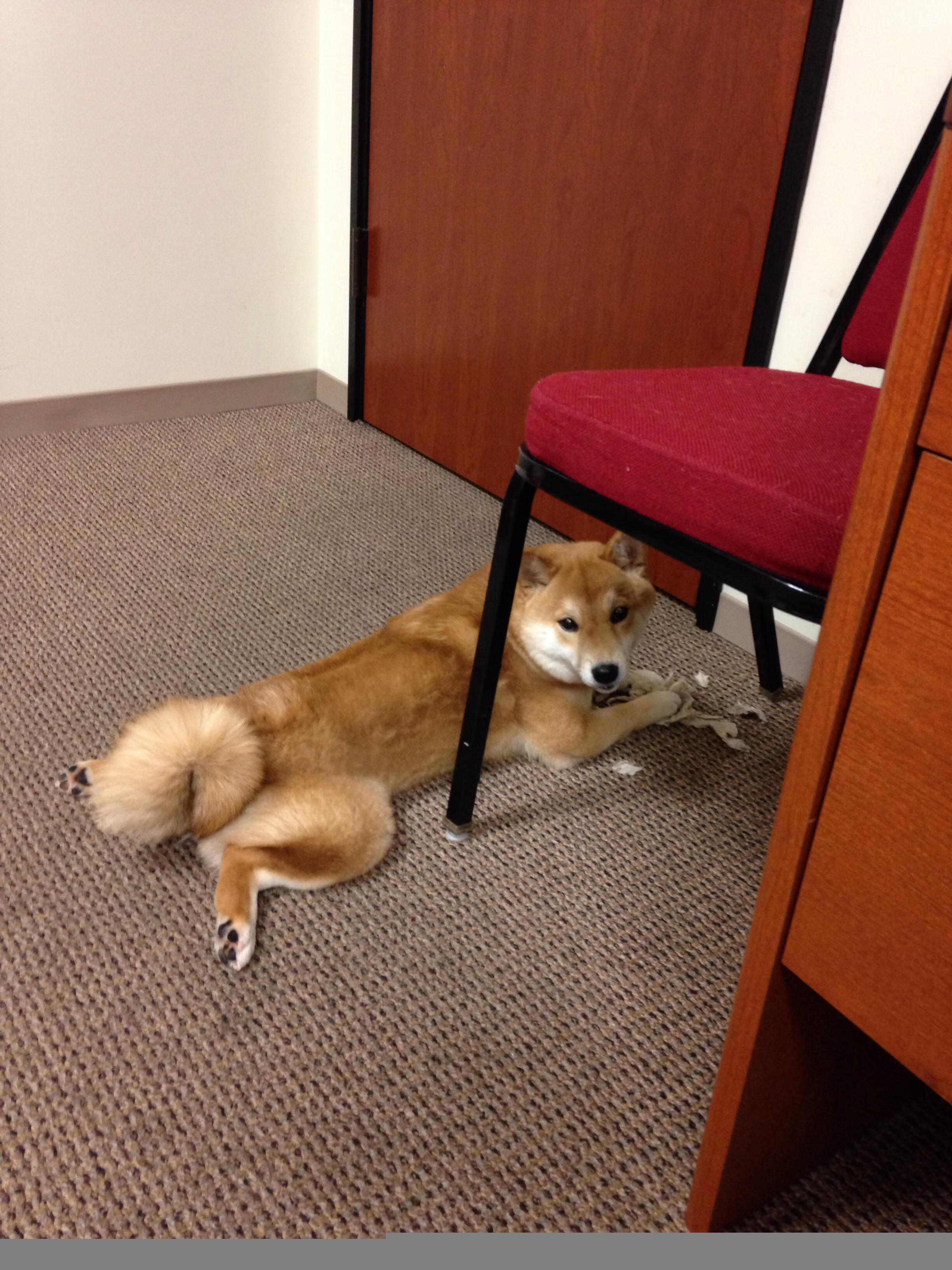 开云下载-东决关键战,保罗接管比赛,尼克斯力克快船挺进总决赛